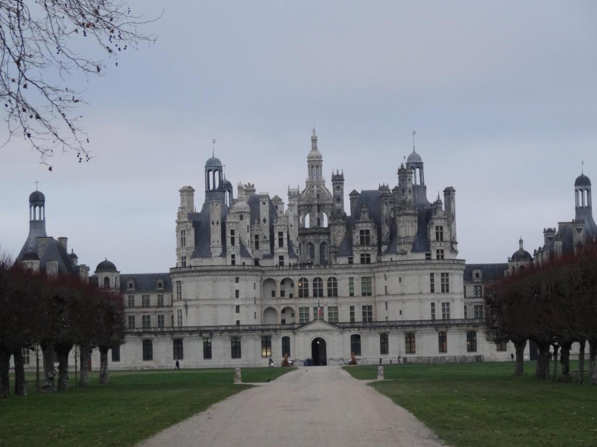 Gite Le Cerf Solognot Proche Chateau Chambord, Lamotte Beuvron Neung-sur-Beuvron Esterno foto